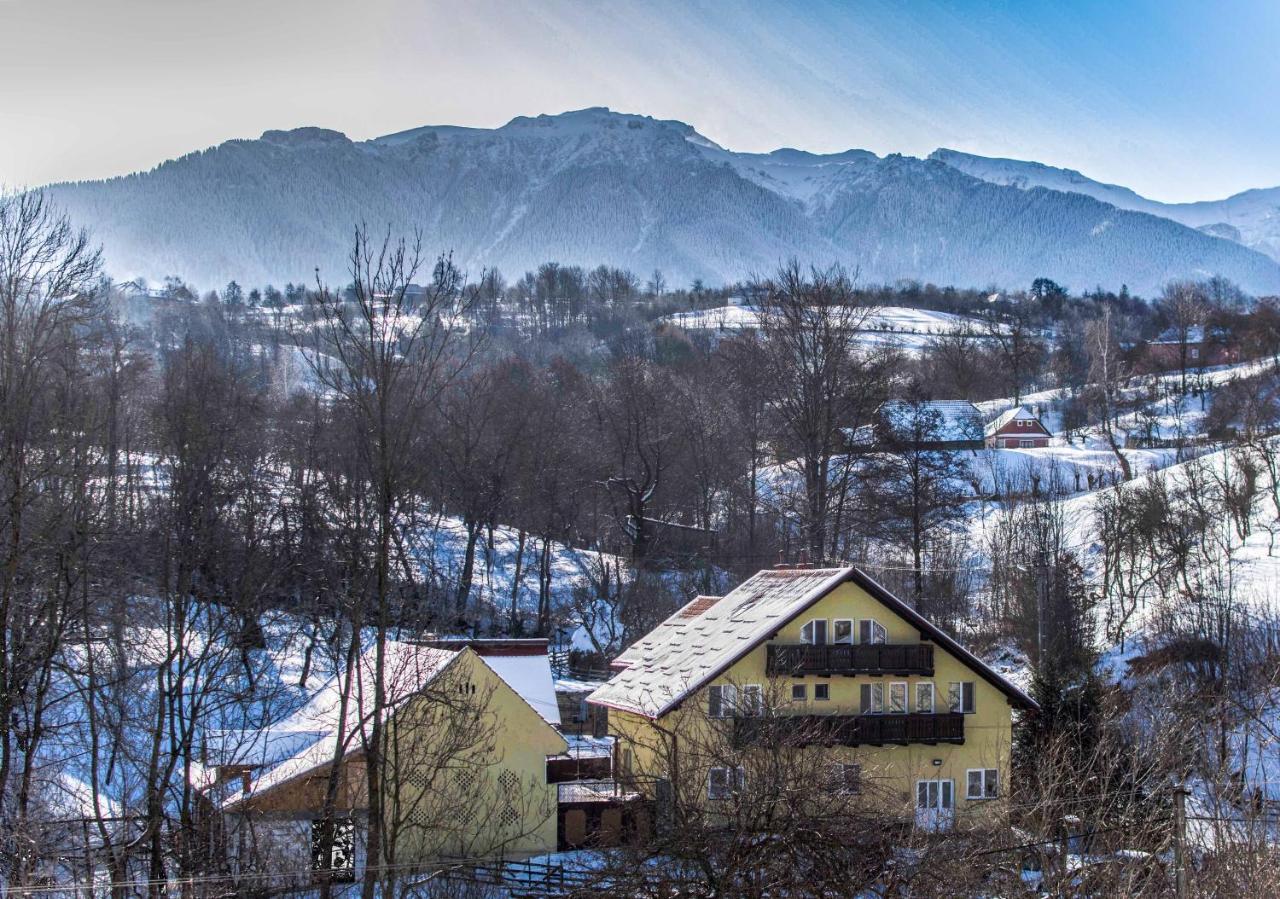 Вилла Casa Elia Бран Экстерьер фото